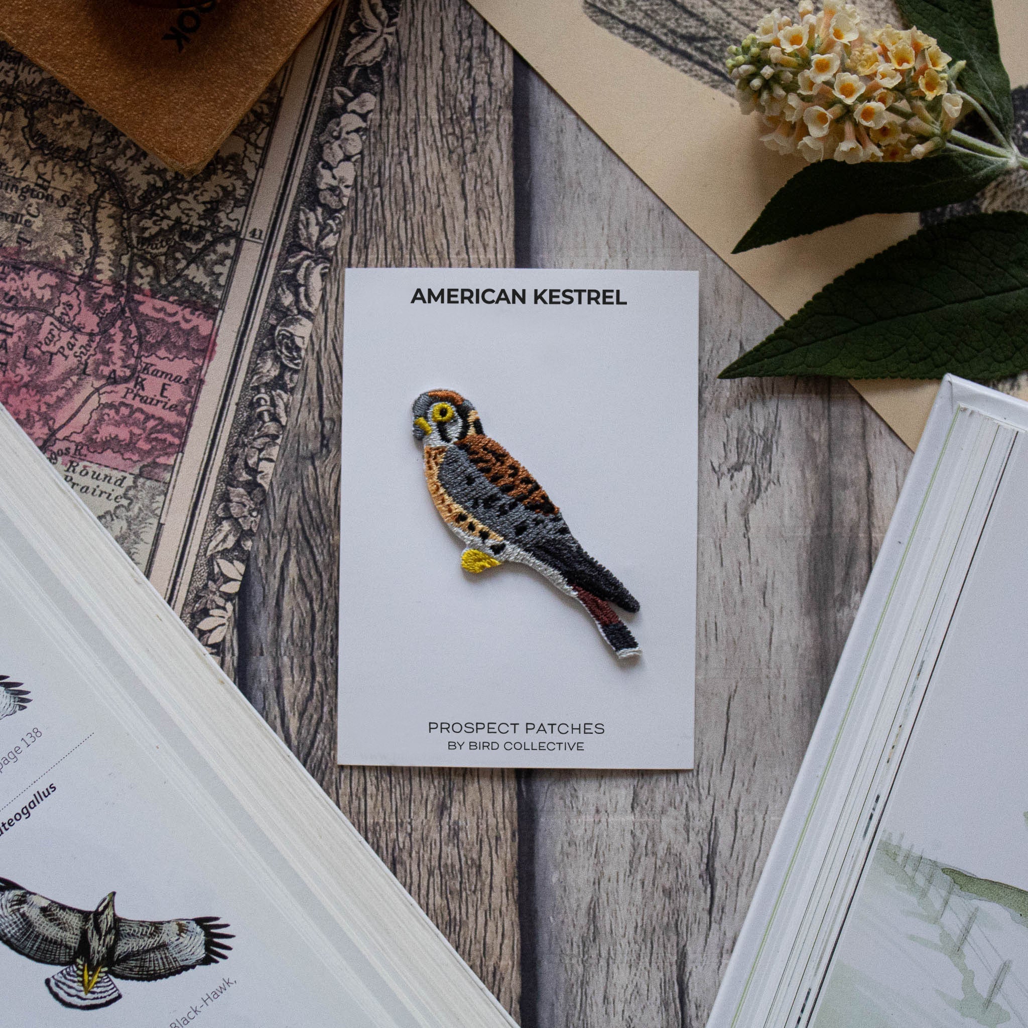 American Kestrel Patch - Image 3