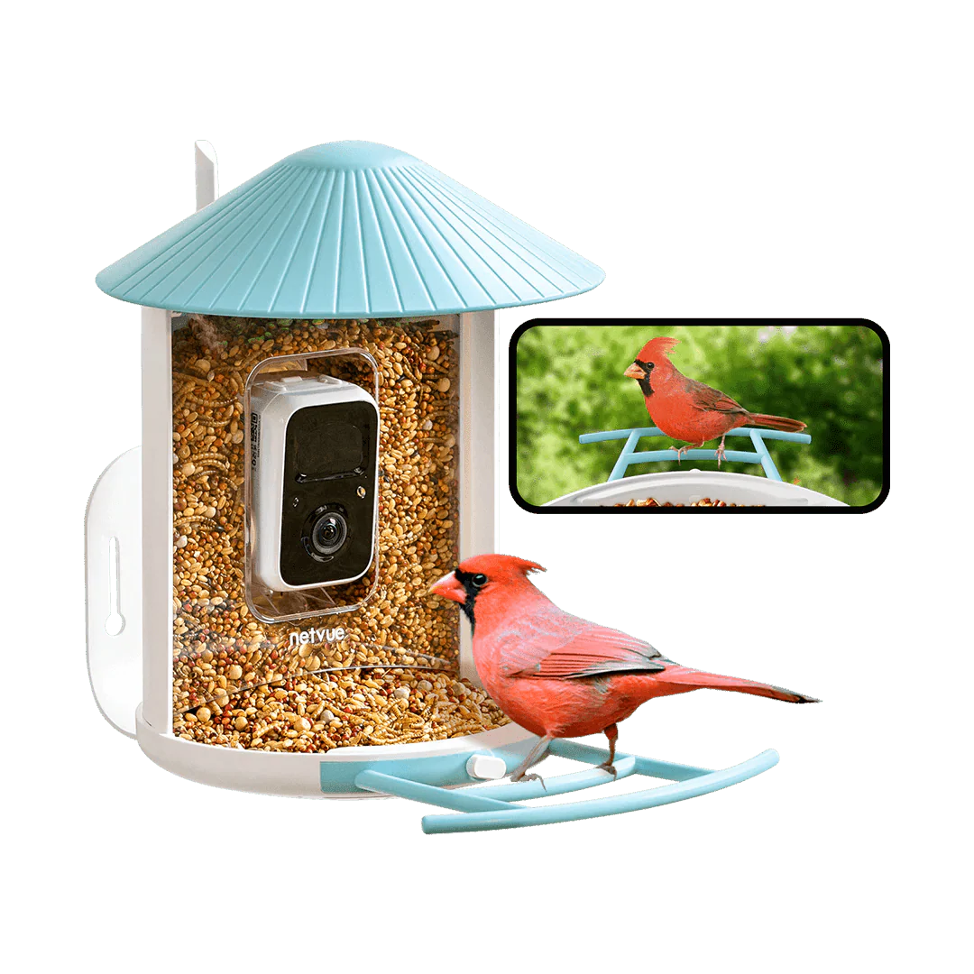 Birdfy Smart Bird Feeder With Camera