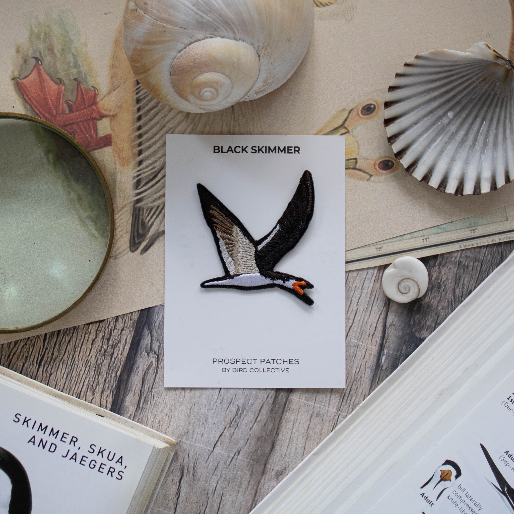 Black Skimmer Patch - Image 4