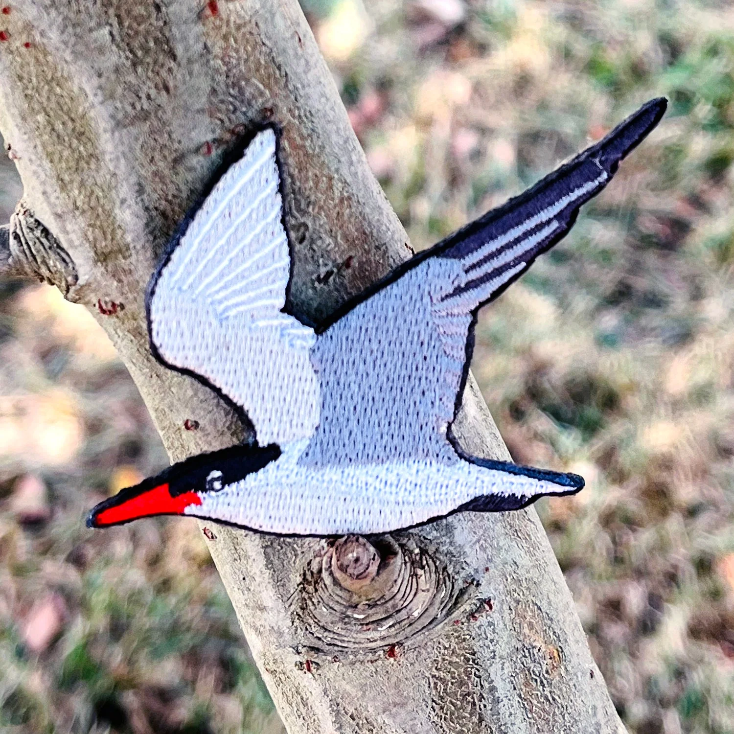 Caspian Tern Patch - Image 3