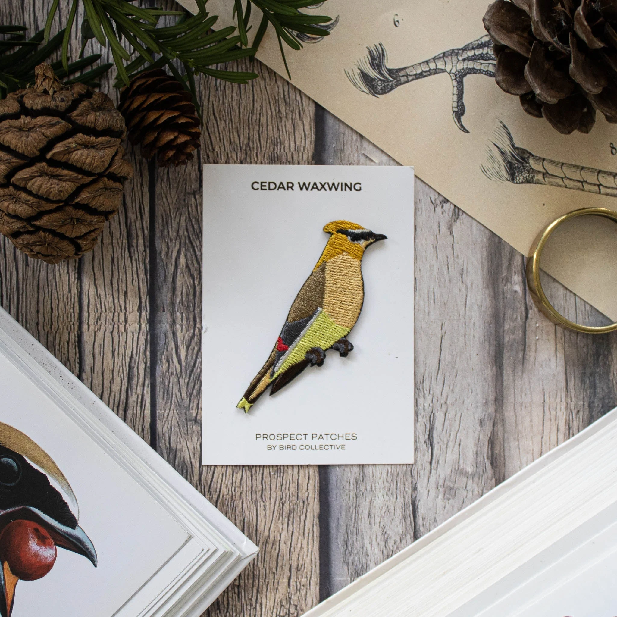 Cedar Waxwing Patch - Image 3