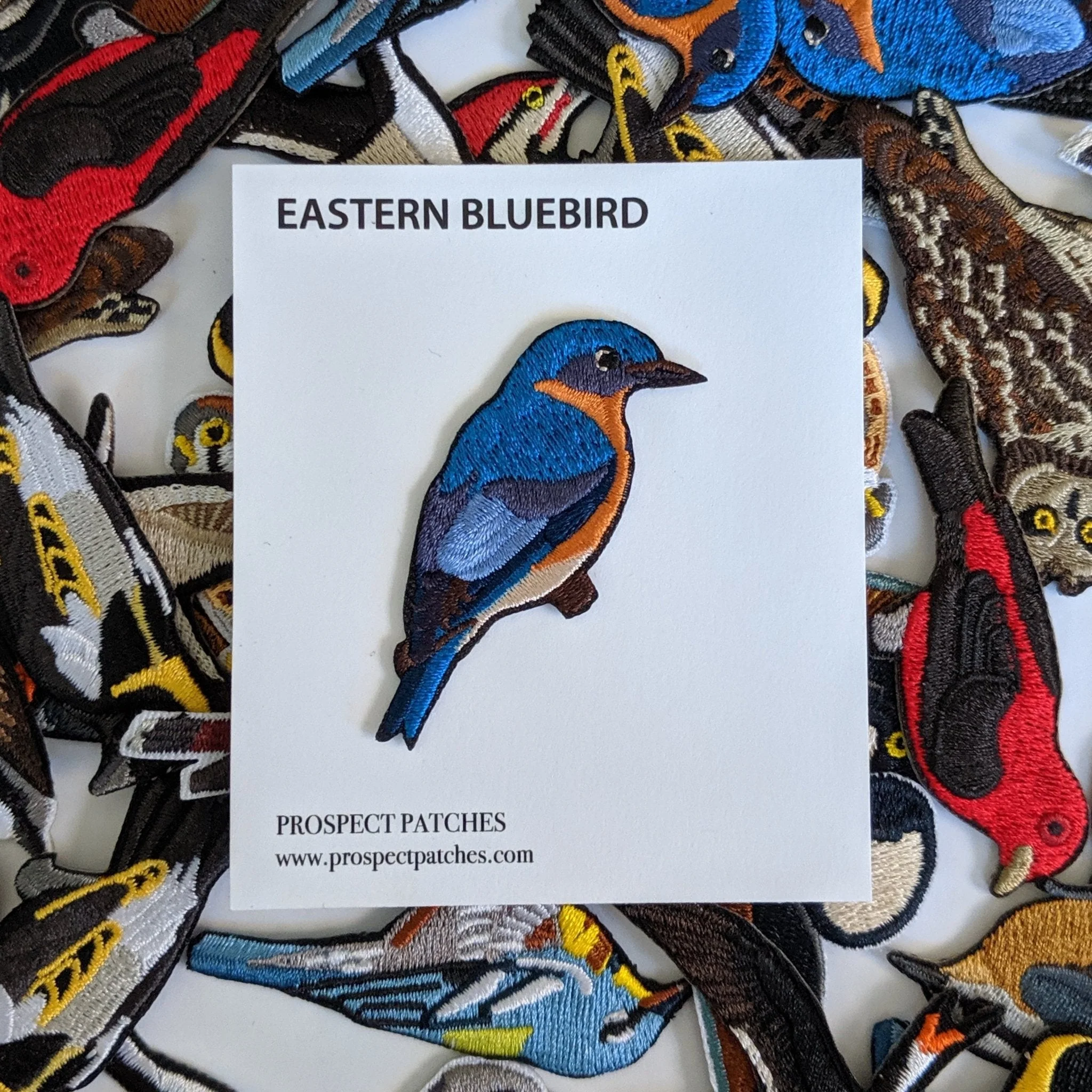Eastern Bluebird Patch - Image 4