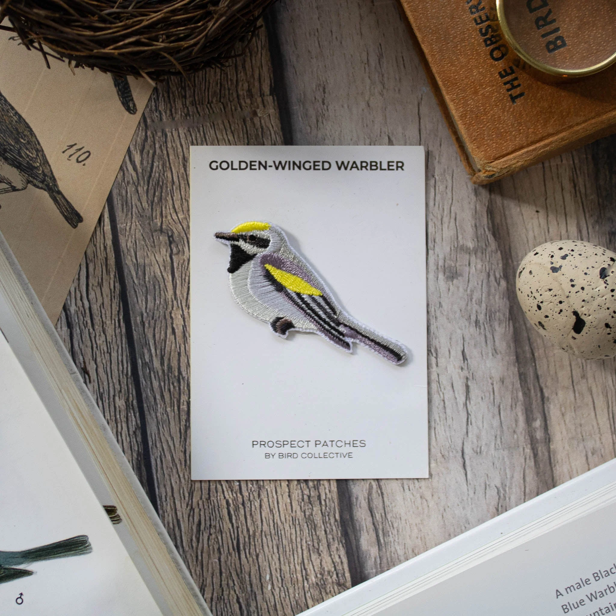 Golden-winged Warbler Patch - Image 3