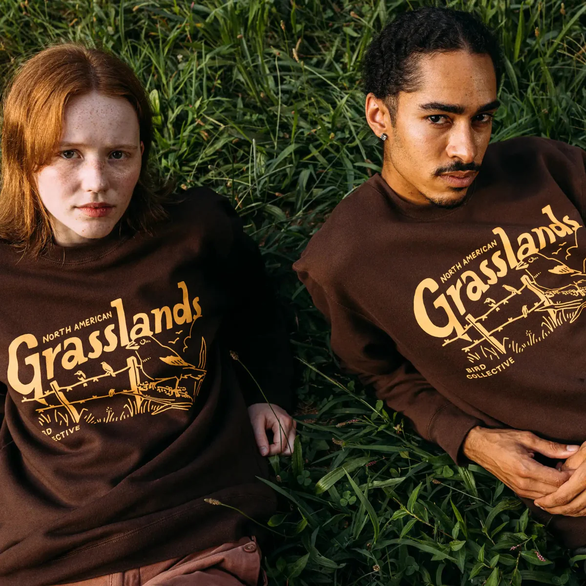 Lark Bunting Sweatshirt - Image 3