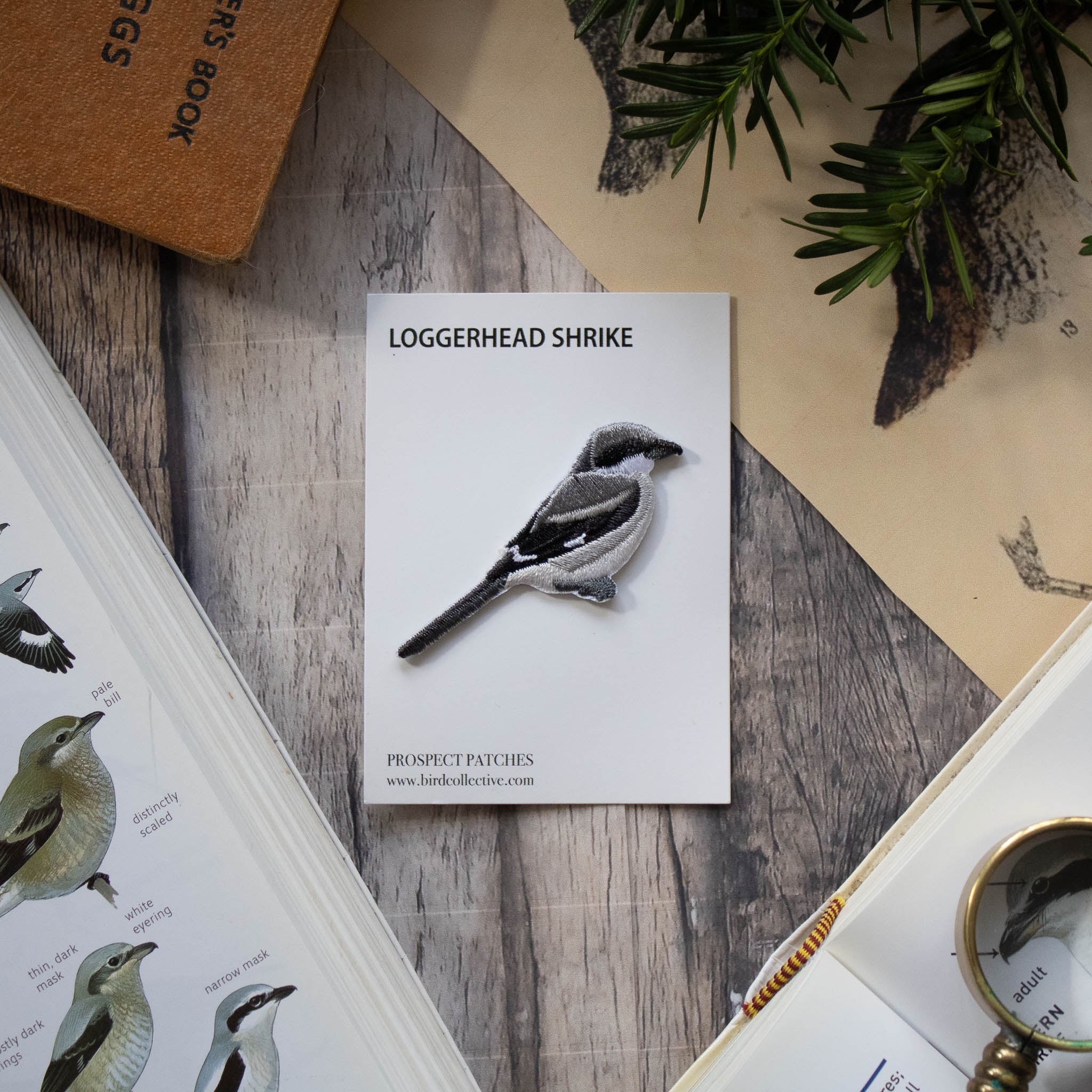 Loggerhead Shrike Patch - Image 3