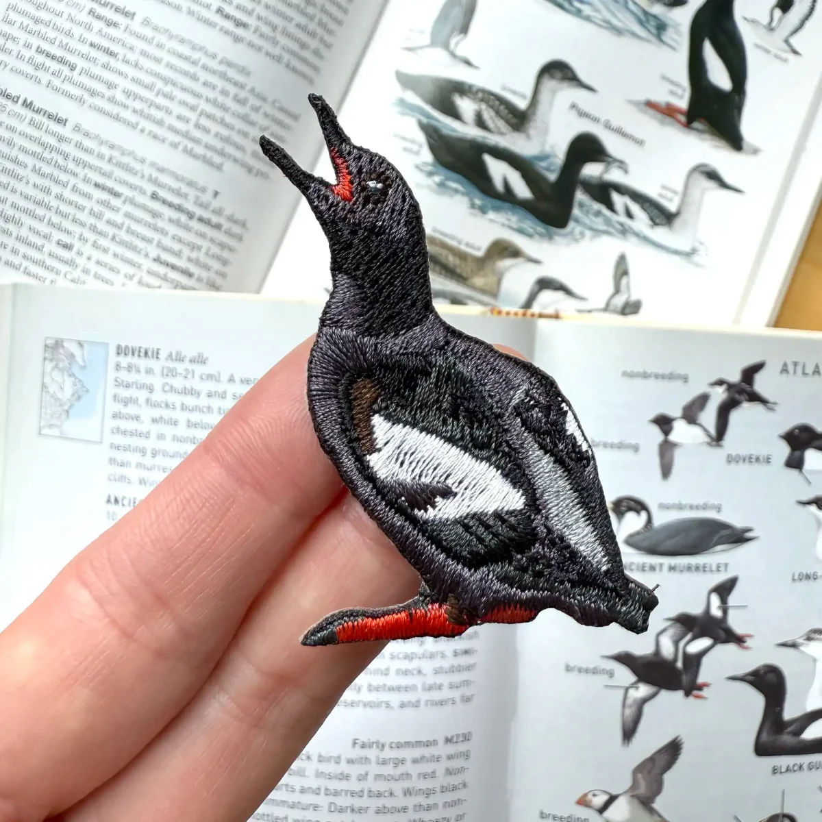 Pigeon Guillemot Patch - Image 2
