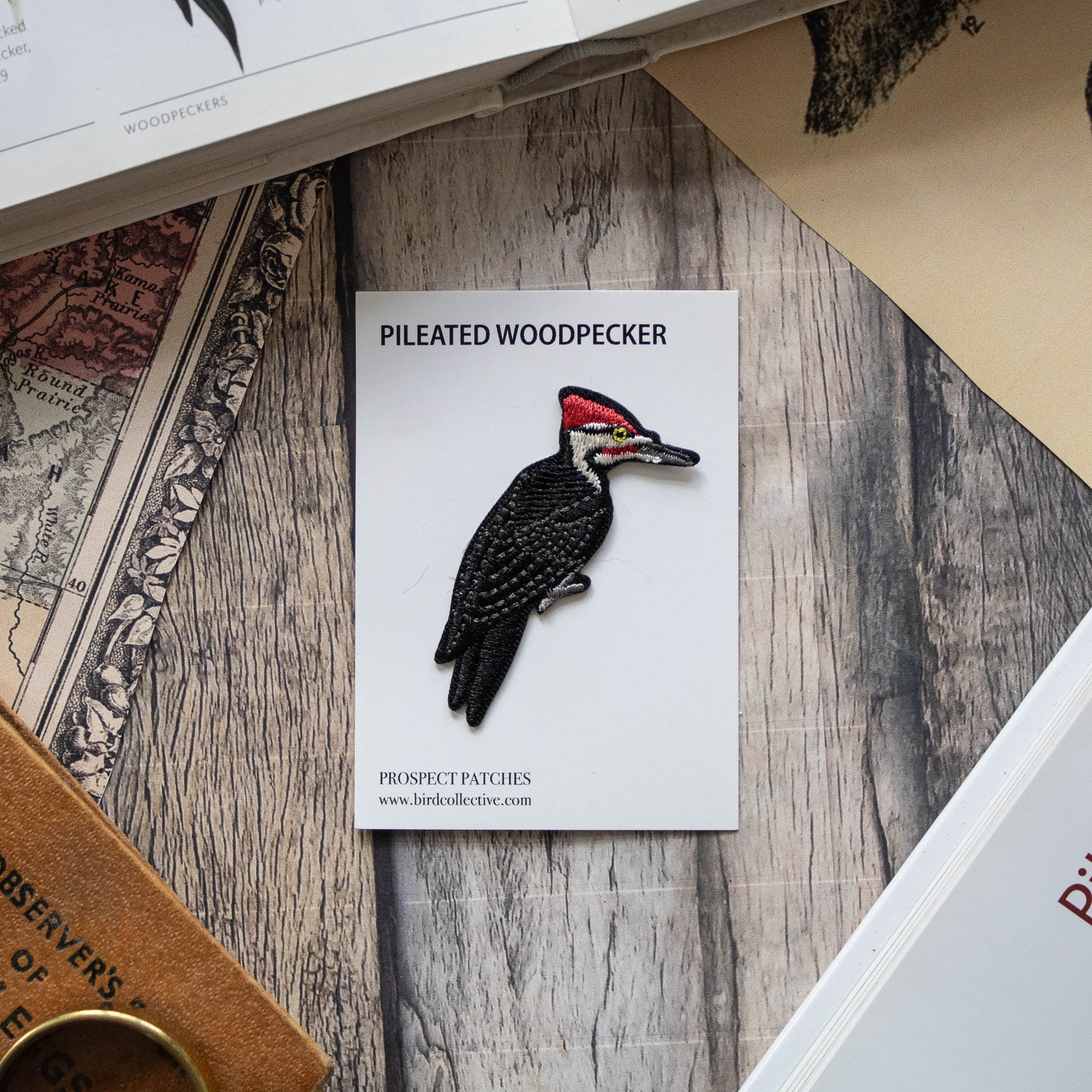 Pileated Woodpecker Patch - Image 3
