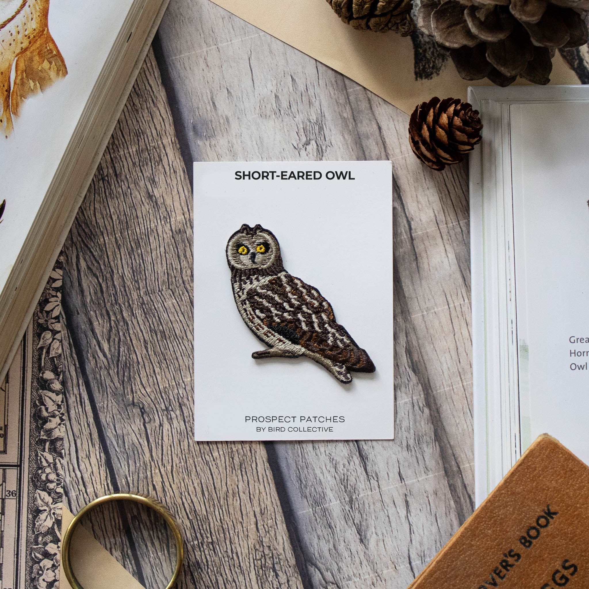 Short-eared Owl Patch - Image 3