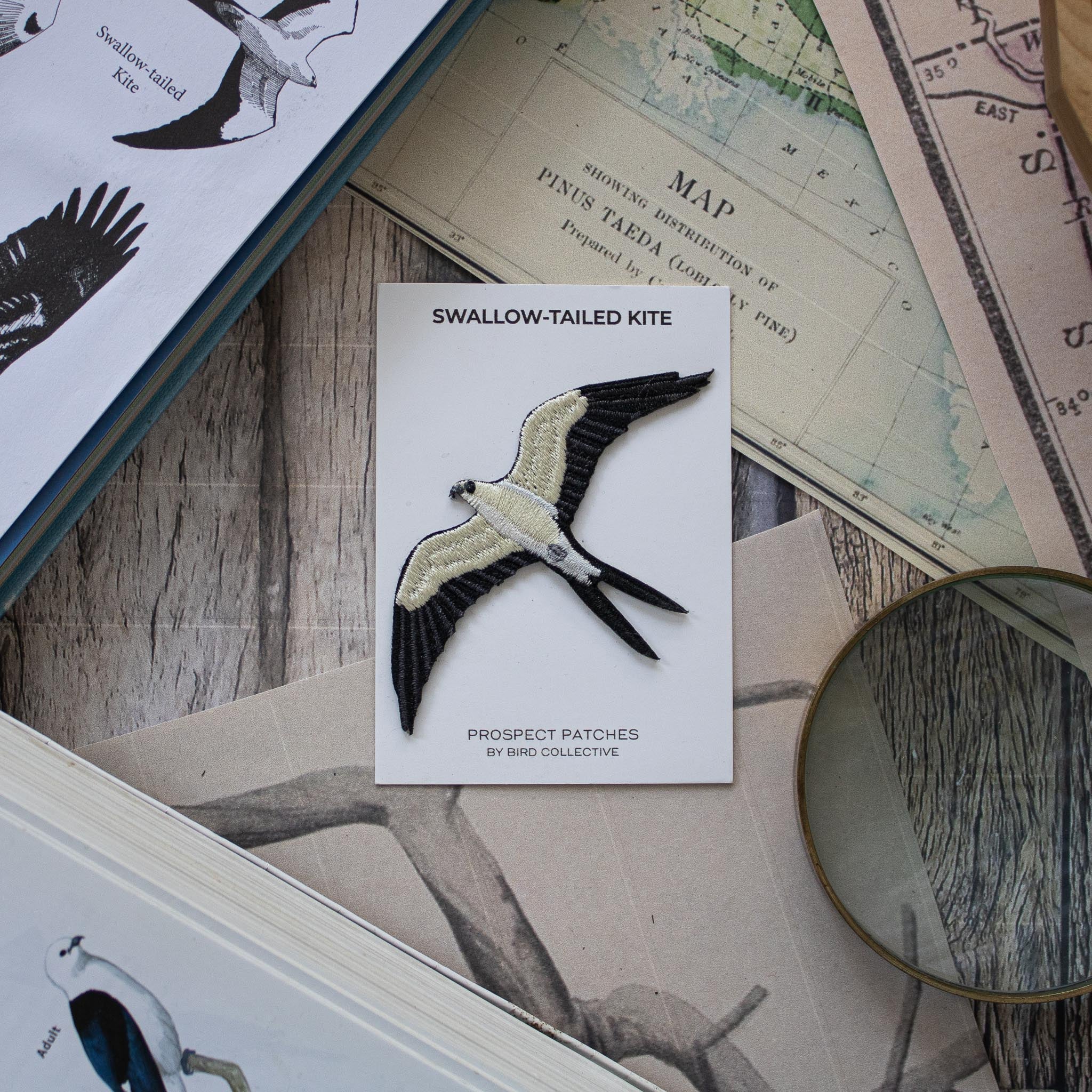 Swallow-tailed Kite Patch - Image 3
