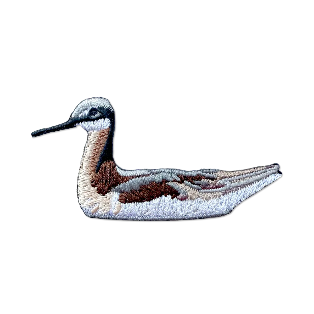Wilson's Phalarope Patch